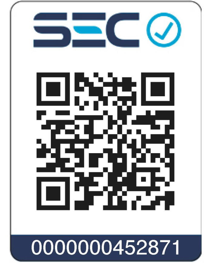 CALD. ITALTHERM CITYCLASS 40F T. BAL 40 KW LPG