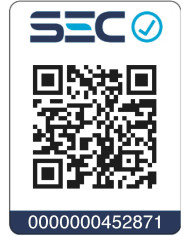 CALD. ITALTHERM CITYCLASS 40F T. BAL 40 KW LPG