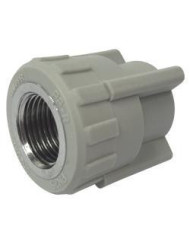 TERMINAL PPR 25 X 3/4 HI (10 UNI)