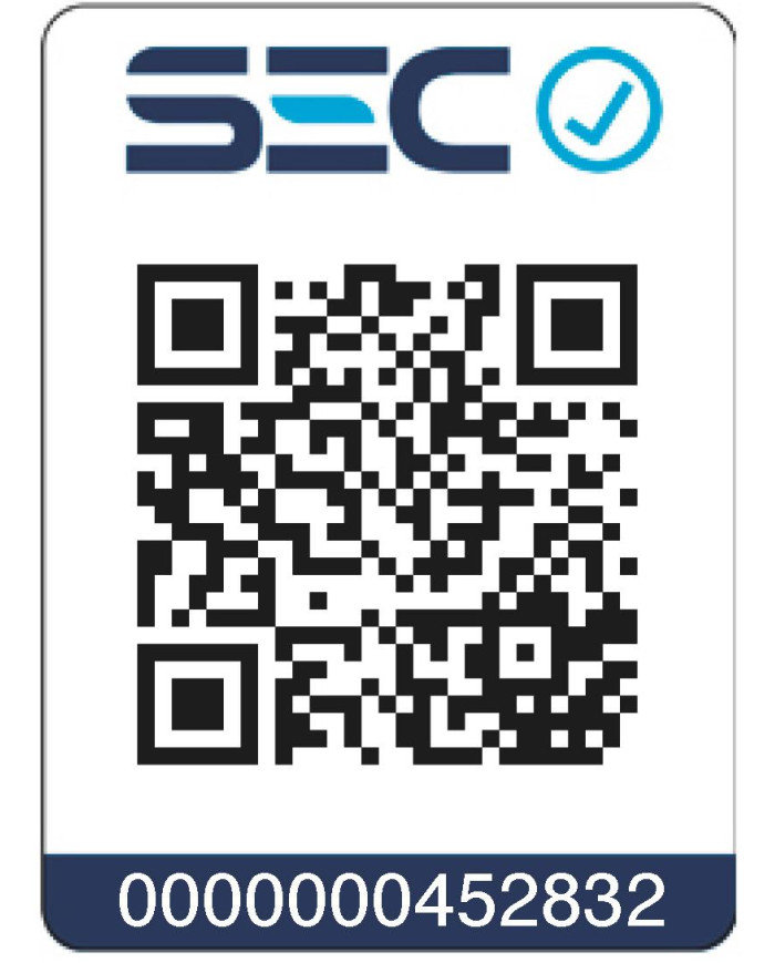 CALD. ITALTHERM CITY CLASS 25F T. BAL 25 KW MTN