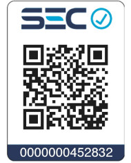 CALD. ITALTHERM CITY CLASS 25F T. BAL 25 KW LPG